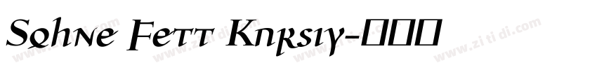 Sohne Fett Kursiv字体转换